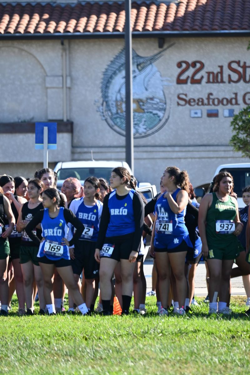 Cross Country is a dying sport