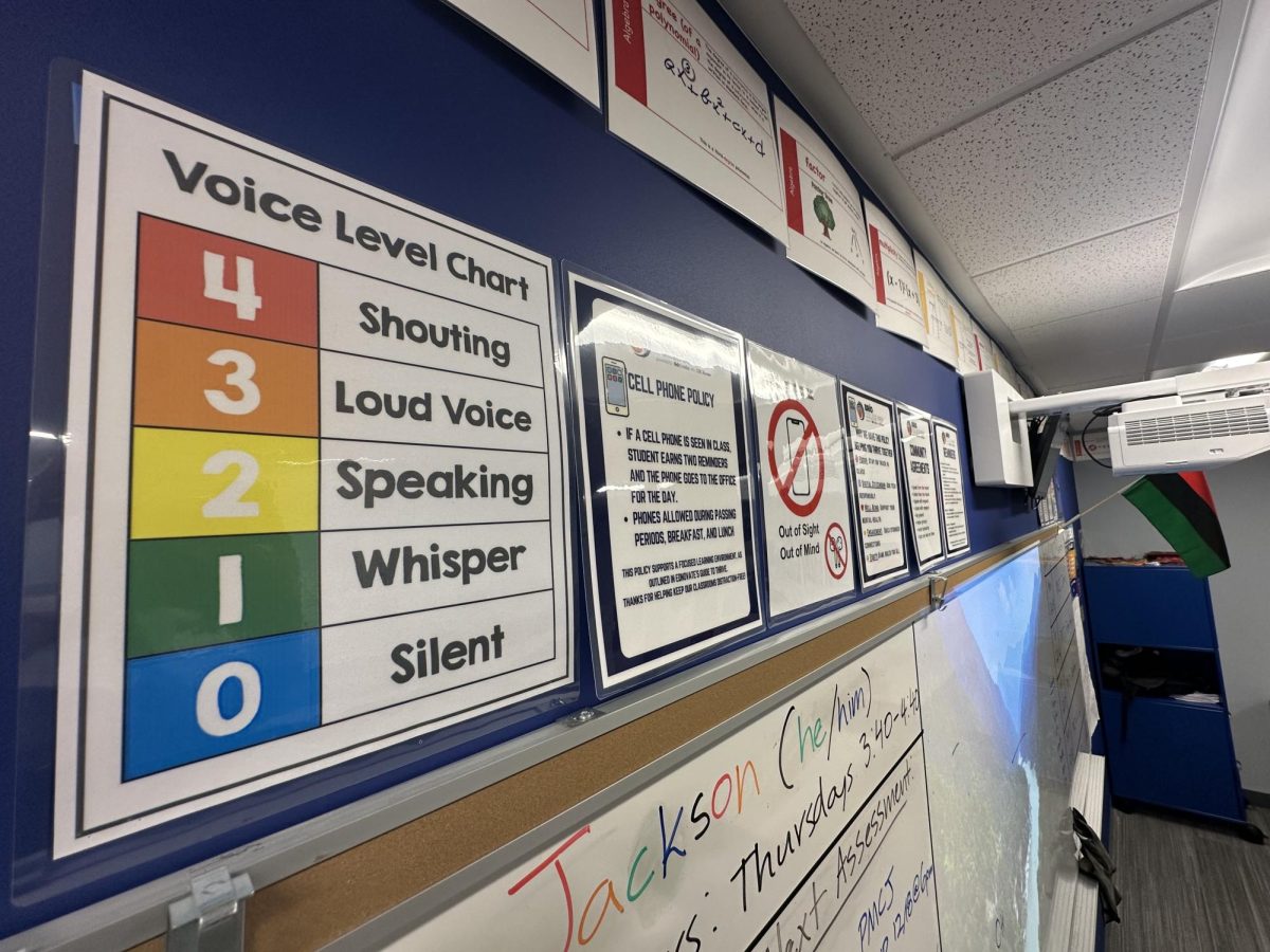 Class Environment (Voice Levels)